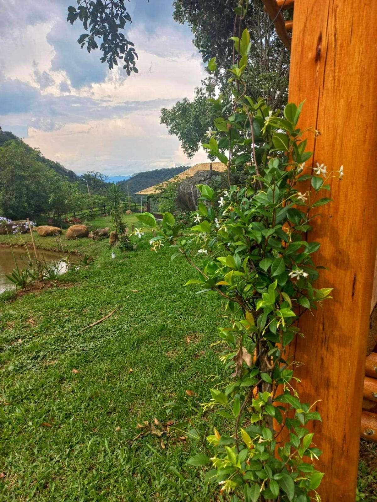 Chale Araucaria- Vale Das Pedras Mg Sapucaí-Mirim Exterior foto